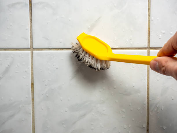 Best Emergency Mold Removal  in Butte, MT