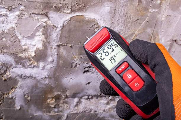 Best Toxic Mold Removal  in Butte, MT