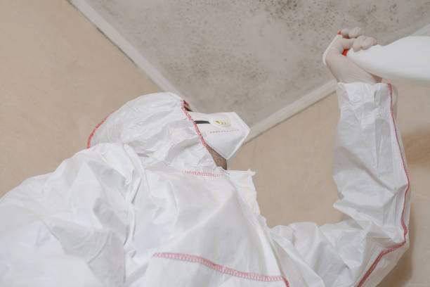 Best Mold Testing  in Butte, MT