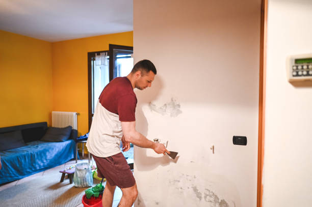 Best Home Mold Removal  in Butte, MT